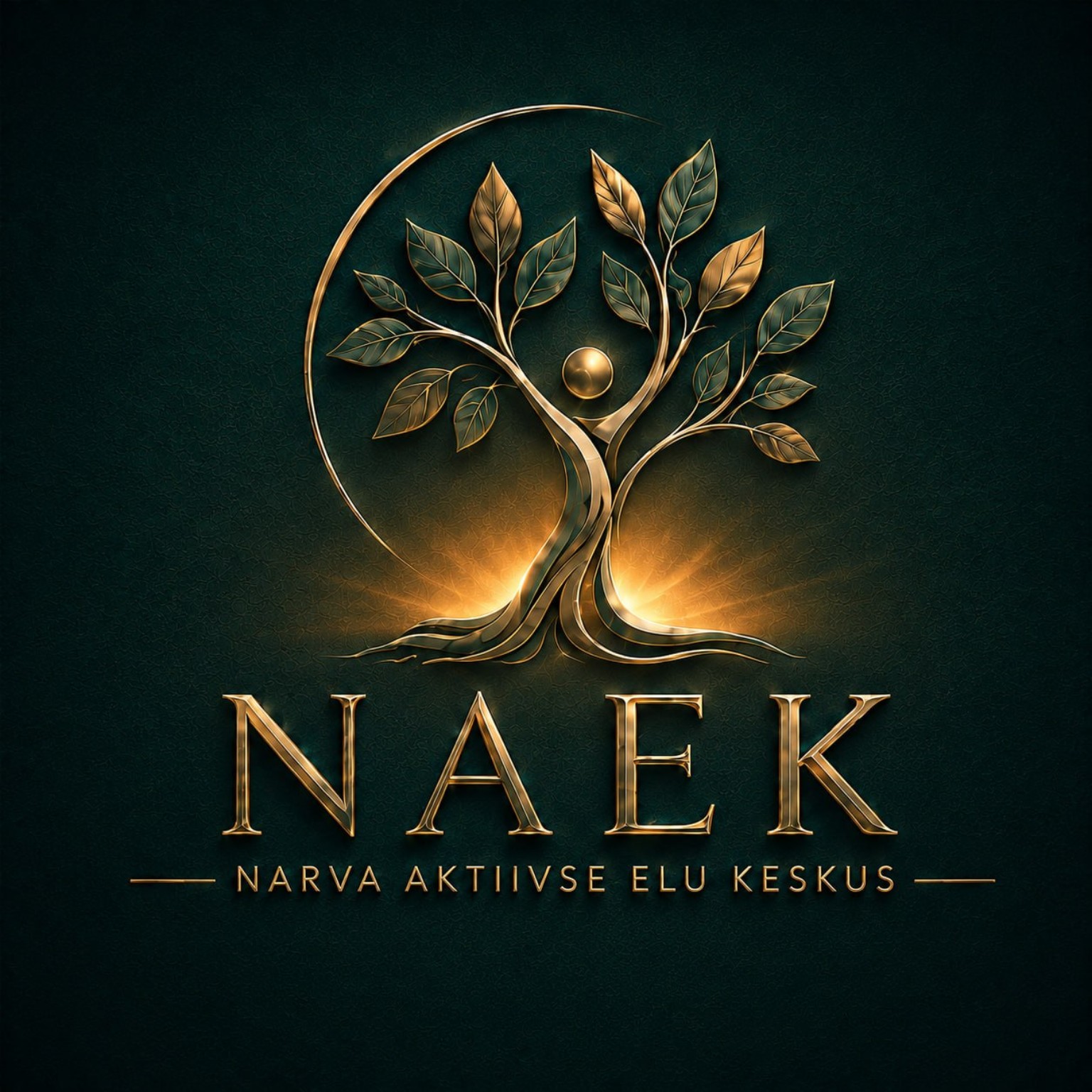 NAEK — Narva Aktiivse Elu Keskus